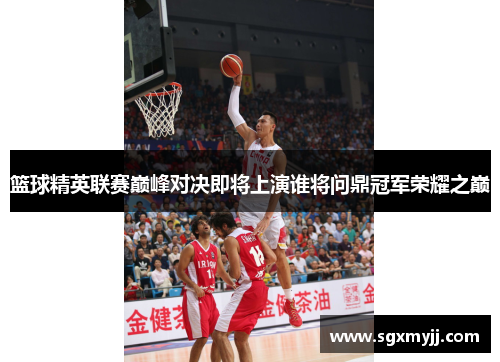 篮球精英联赛巅峰对决即将上演谁将问鼎冠军荣耀之巅