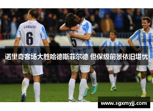 诺里奇客场大胜哈德斯菲尔德 但保级前景依旧堪忧