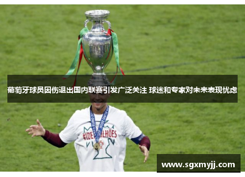 葡萄牙球员因伤退出国内联赛引发广泛关注 球迷和专家对未来表现忧虑