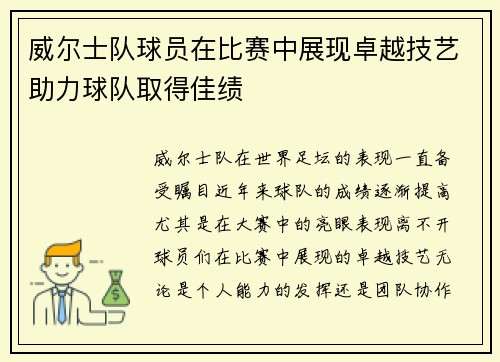 威尔士队球员在比赛中展现卓越技艺助力球队取得佳绩