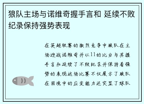 狼队主场与诺维奇握手言和 延续不败纪录保持强势表现